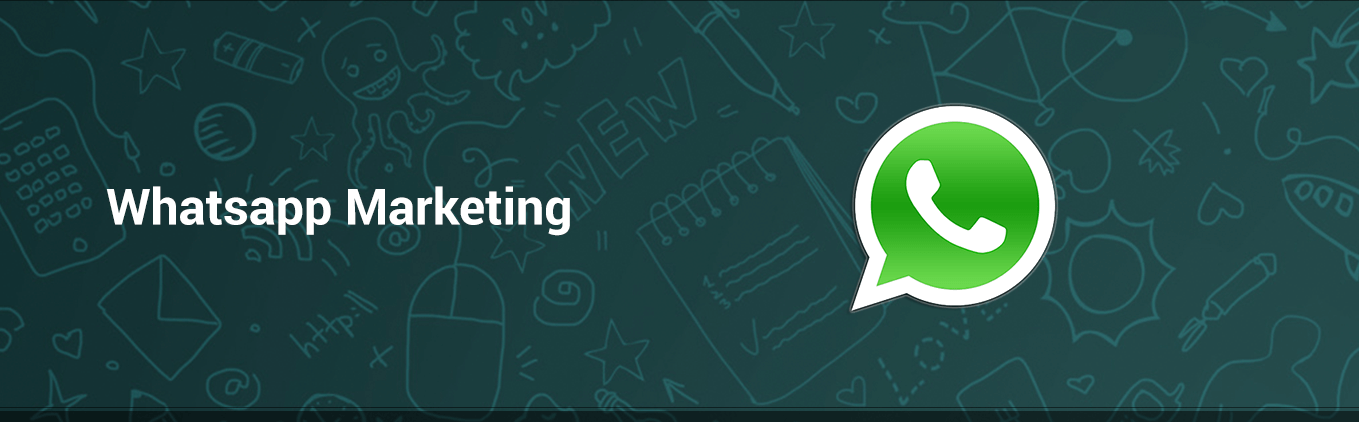 Whatsapp Marketing